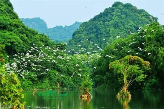 شقة Nha Nghi Bolero Van Lam المظهر الخارجي الصورة
